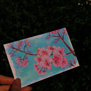 Cherry Blossom Print