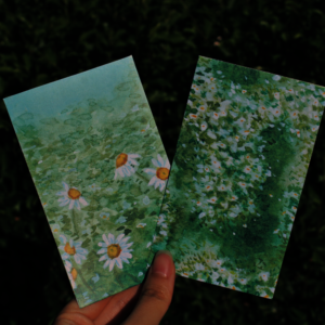 Chamomile Diptych Print